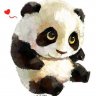 andypanda