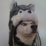 Woolfings